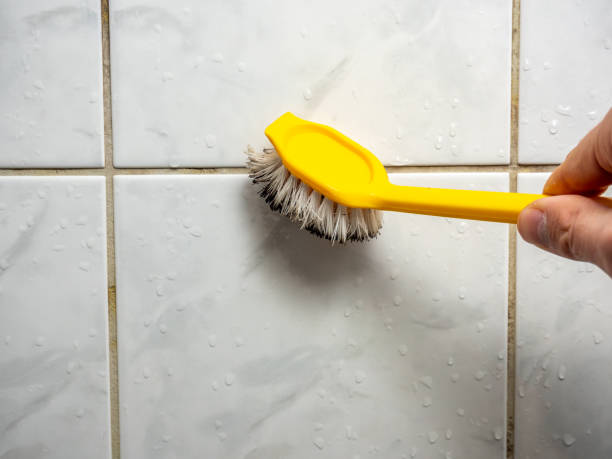 Best Emergency Mold Removal  in Gruetli Laager, TN