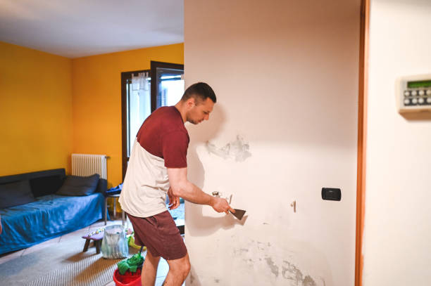 Reliable Gruetli Laager, TN Mold Removal Solutions